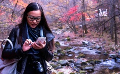 暖暖视频免费观看高清直播